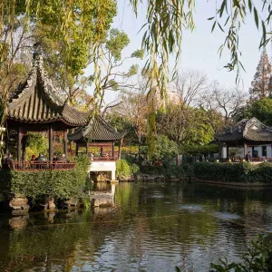 Qingpu